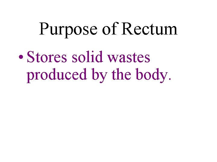 Purpose of Rectum • Stores solid wastes produced by the body. 