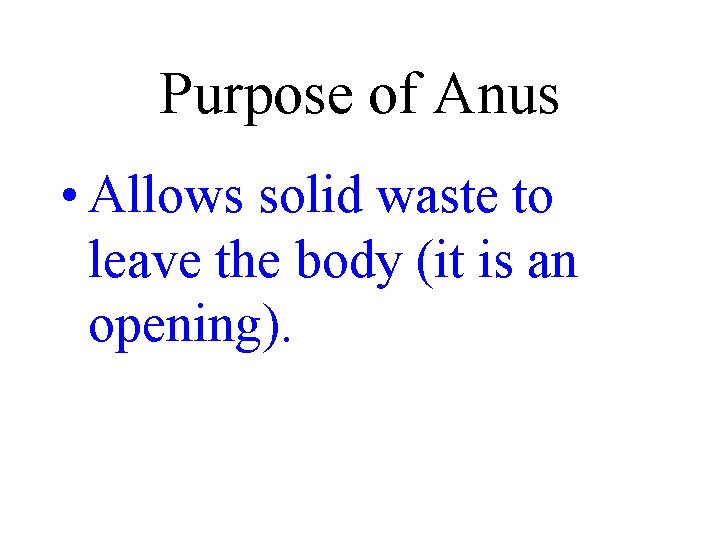 Purpose of Anus • Allows solid waste to leave the body (it is an