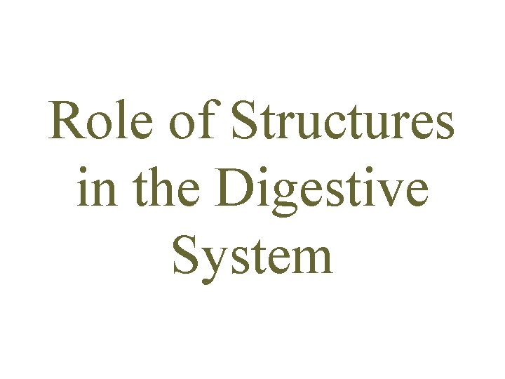 Role of Structures in the Digestive System 