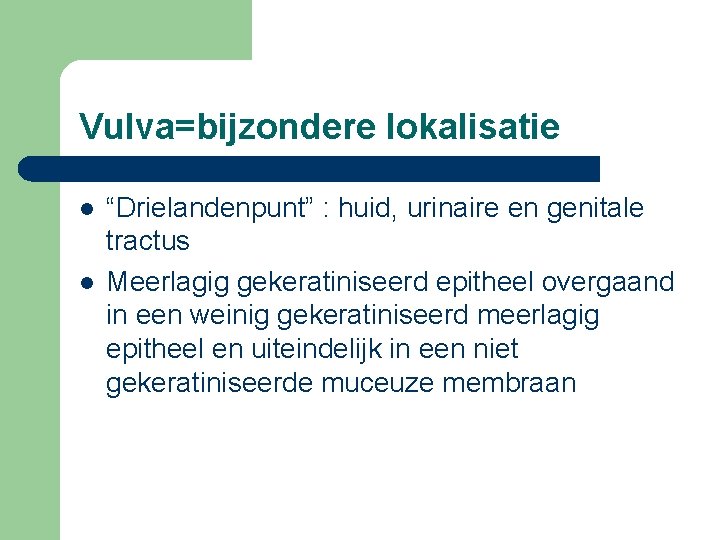 Vulva=bijzondere lokalisatie l l “Drielandenpunt” : huid, urinaire en genitale tractus Meerlagig gekeratiniseerd epitheel