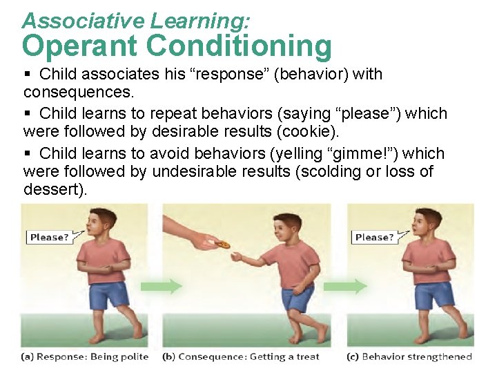 Associative Learning: Operant Conditioning § Child associates his “response” (behavior) with consequences. § Child