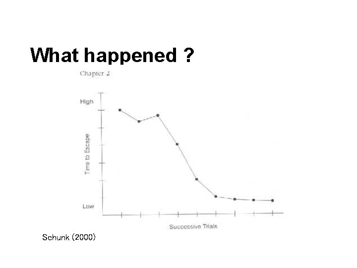 What happened ? Schunk (2000) 