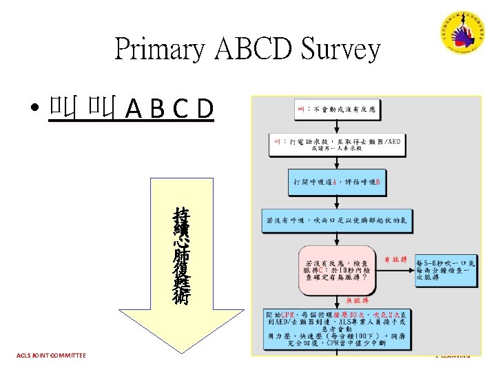Primary ABCD Survey • 叫 叫 A B C D 持 續 心 肺