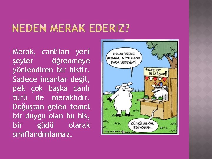 Merak, canlıları yeni şeyler öğrenmeye yönlendiren bir histir. Sadece insanlar değil, pek çok başka