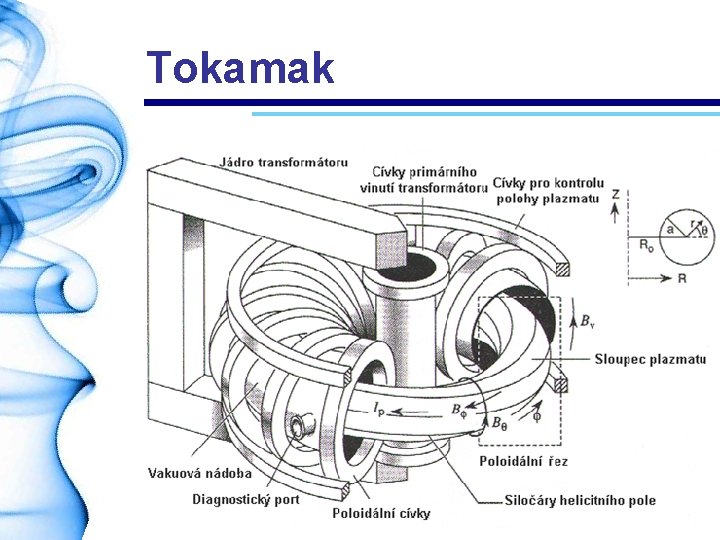 Tokamak 