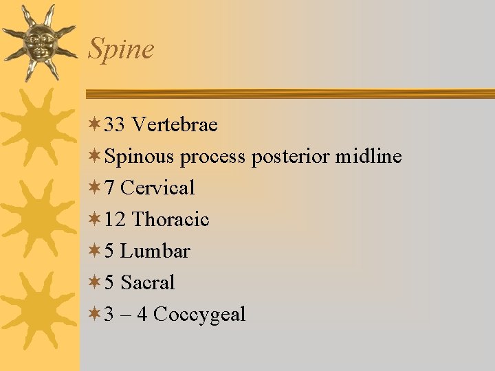 Spine ¬ 33 Vertebrae ¬Spinous process posterior midline ¬ 7 Cervical ¬ 12 Thoracic Spine ¬ 33 Vertebrae ¬Spinous process posterior midline ¬ 7 Cervical ¬ 12 Thoracic
