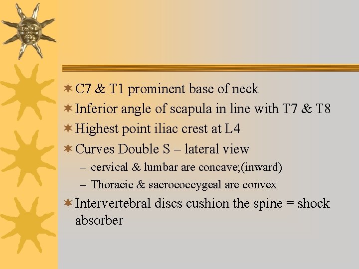 ¬ C 7 & T 1 prominent base of neck ¬ Inferior angle of ¬ C 7 & T 1 prominent base of neck ¬ Inferior angle of