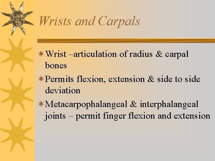 Wrists and Carpals ¬Wrist –articulation of radius & carpal bones ¬Permits flexion, extension & Wrists and Carpals ¬Wrist –articulation of radius & carpal bones ¬Permits flexion, extension &