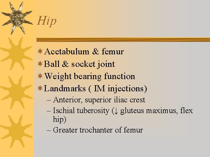 Hip ¬Acetabulum & femur ¬Ball & socket joint ¬Weight bearing function ¬Landmarks ( IM Hip ¬Acetabulum & femur ¬Ball & socket joint ¬Weight bearing function ¬Landmarks ( IM