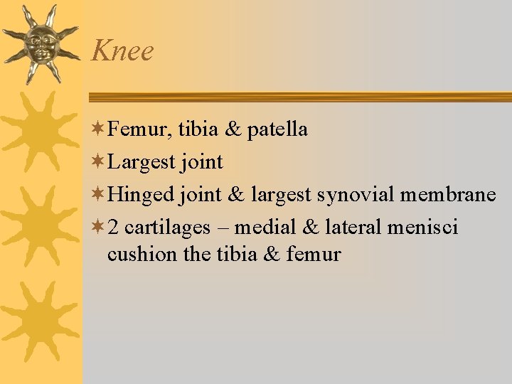 Knee ¬Femur, tibia & patella ¬Largest joint ¬Hinged joint & largest synovial membrane ¬ Knee ¬Femur, tibia & patella ¬Largest joint ¬Hinged joint & largest synovial membrane ¬