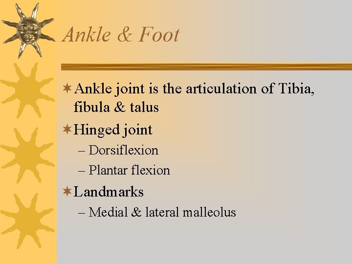 Ankle & Foot ¬Ankle joint is the articulation of Tibia, fibula & talus ¬Hinged Ankle & Foot ¬Ankle joint is the articulation of Tibia, fibula & talus ¬Hinged