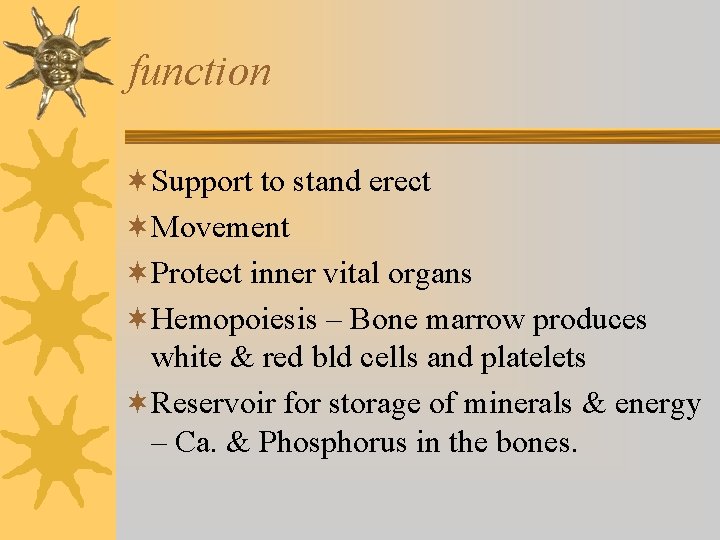 function ¬Support to stand erect ¬Movement ¬Protect inner vital organs ¬Hemopoiesis – Bone marrow function ¬Support to stand erect ¬Movement ¬Protect inner vital organs ¬Hemopoiesis – Bone marrow