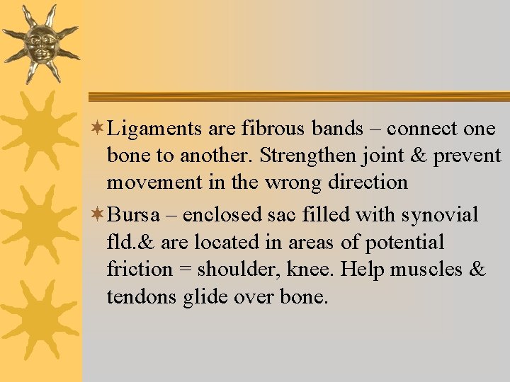 ¬Ligaments are fibrous bands – connect one bone to another. Strengthen joint & prevent ¬Ligaments are fibrous bands – connect one bone to another. Strengthen joint & prevent