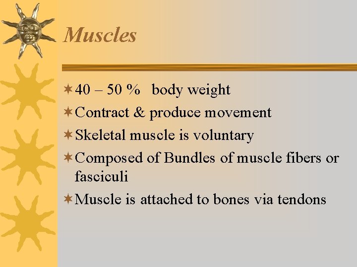 Muscles ¬ 40 – 50 % body weight ¬Contract & produce movement ¬Skeletal muscle Muscles ¬ 40 – 50 % body weight ¬Contract & produce movement ¬Skeletal muscle