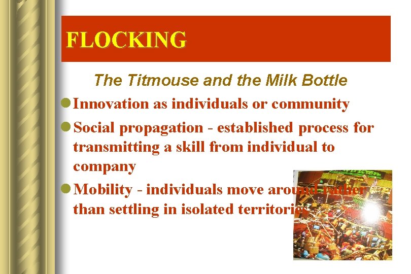 FLOCKING The Titmouse and the Milk Bottle l Innovation as individuals or community l