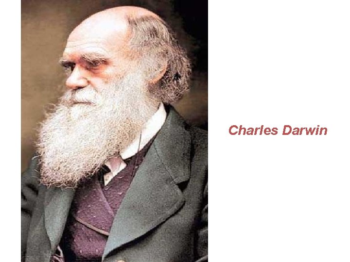 Charles Darwin 