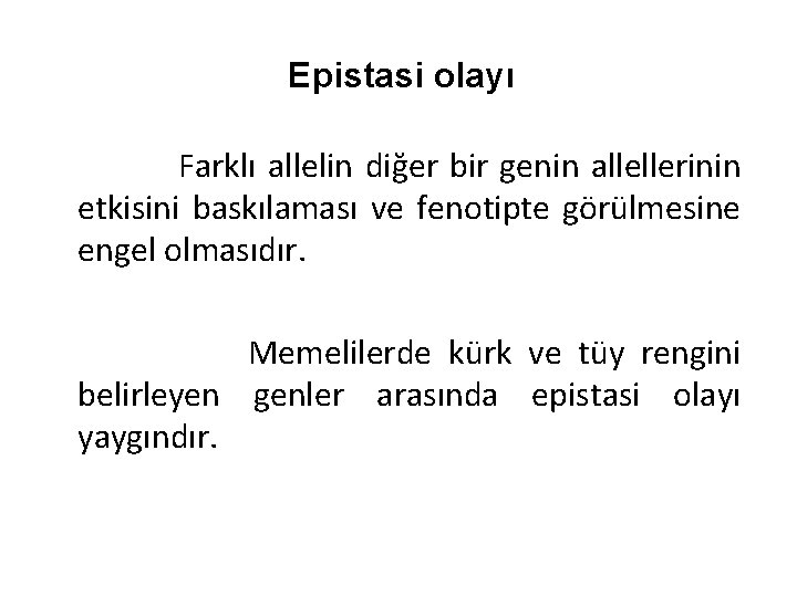 Epistasi olayı Farklı allelin diğer bir genin allellerinin etkisini baskılaması ve fenotipte görülmesine engel