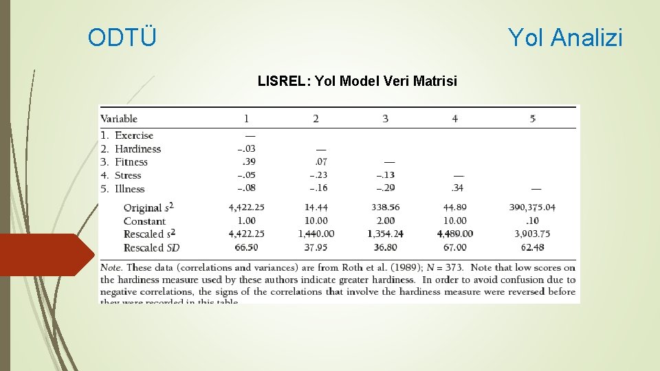 ODTÜ Yol Analizi LISREL: Yol Model Veri Matrisi 