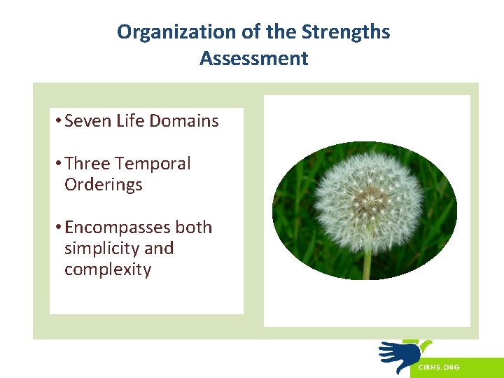 Organization of the Strengths Assessment • Seven Life Domains • Three Temporal Orderings •