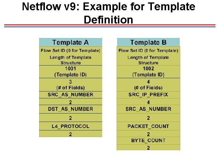 Netflow v 9: Example for Template Definition Netflow v 9: Example for Template Definition