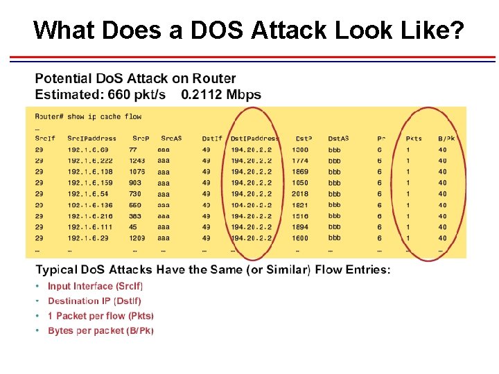 What Does a DOS Attack Look Like? 