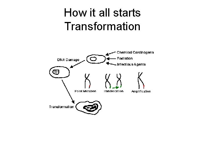 How it all starts Transformation 