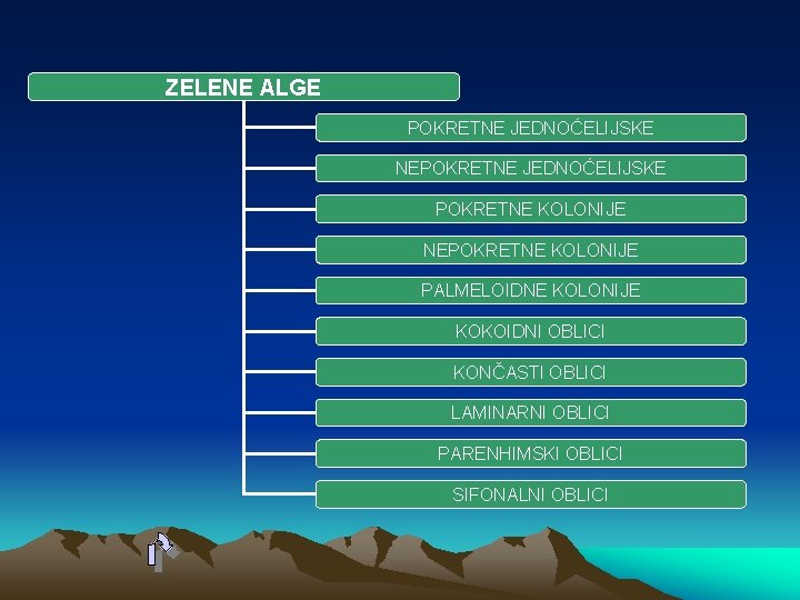 ZELENE ALGE POKRETNE JEDNOĆELIJSKE NEPOKRETNE JEDNOĆELIJSKE POKRETNE KOLONIJE NEPOKRETNE KOLONIJE PALMELOIDNE KOLONIJE KOKOIDNI OBLICI