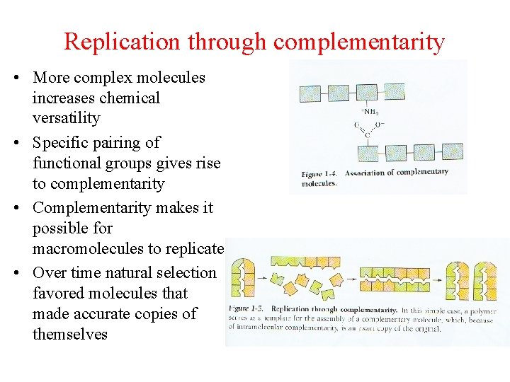 Replication through complementarity • More complex molecules increases chemical versatility • Specific pairing of