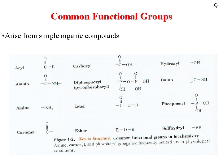 9 Common Functional Groups • Arise from simple organic compounds 