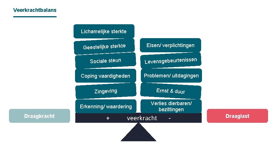 Veerkrachtbalans Lichamelijke sterkte Draagkracht Geestelijke sterkte Eisen/ verplichtingen Sociale steun Levensgebeurtenissen Coping vaardigheden Problemen/