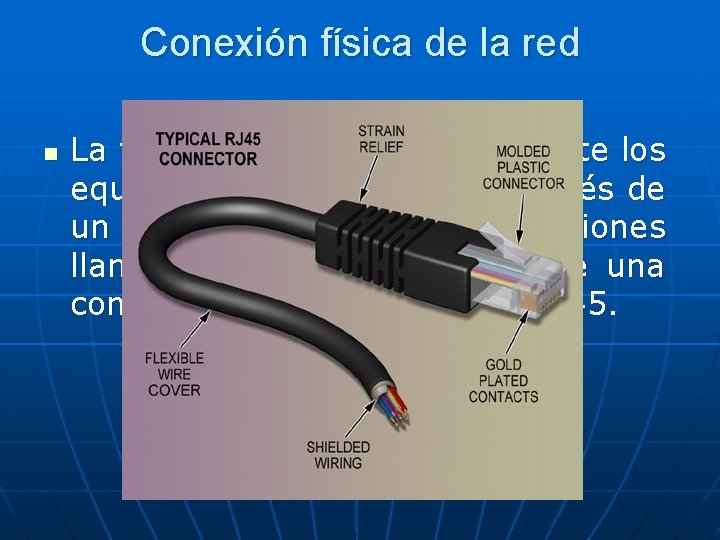 Conexión física de la red n La forma de conectar físicamente los equipos a