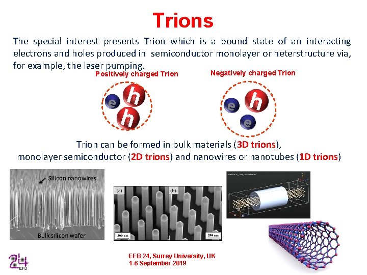 Trions The special interest presents Trion which is a bound state of an interacting
