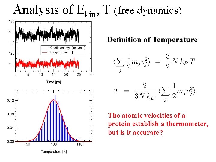 Analysis of Ekin, T (free dynamics) The atomic velocities of a protein establish a