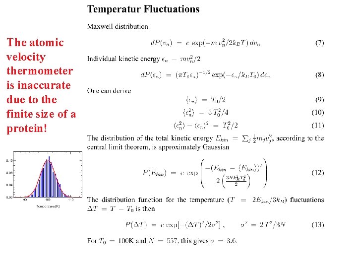 The atomic velocity thermometer is inaccurate due to the finite size of a protein!