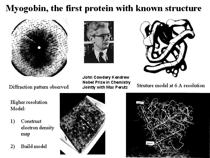 Myogobin, the first protein with known structure Diffraction pattern observed Higher resolution Model: 1)