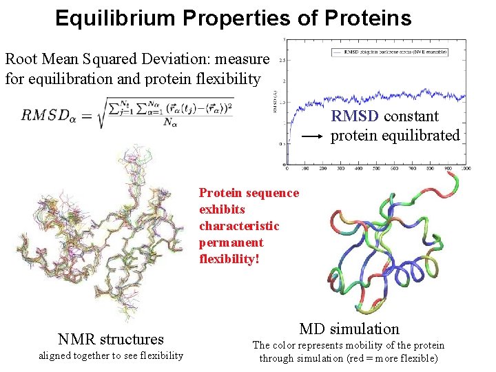 Equilibrium Properties of Proteins Root Mean Squared Deviation: measure for equilibration and protein flexibility