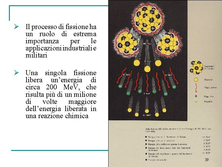 Ø Il processo di fissione ha un ruolo di estrema importanza per le applicazioni