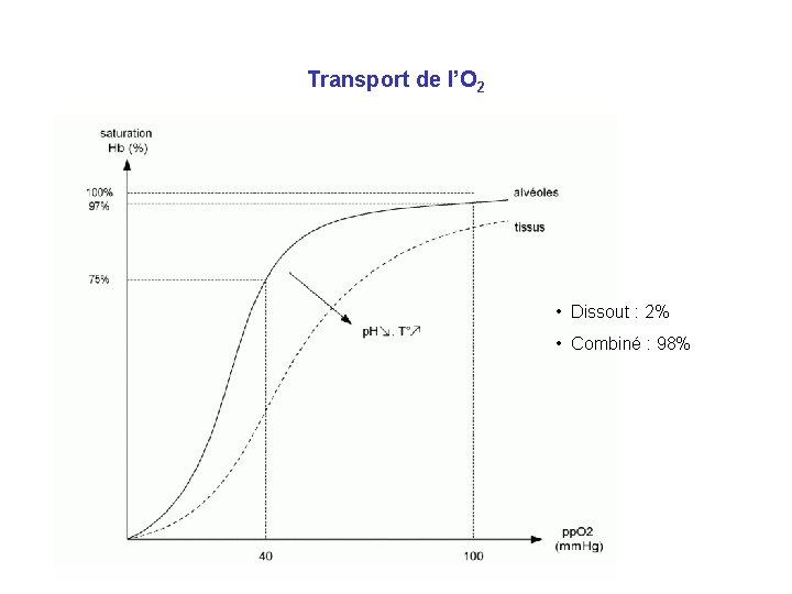 Transport de l’O 2 • Dissout : 2% • Combiné : 98% 