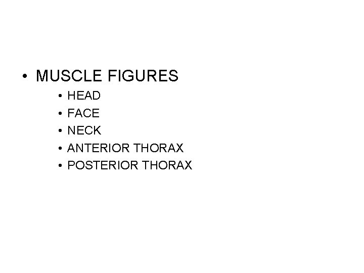  • MUSCLE FIGURES • • • HEAD FACE NECK ANTERIOR THORAX POSTERIOR THORAX