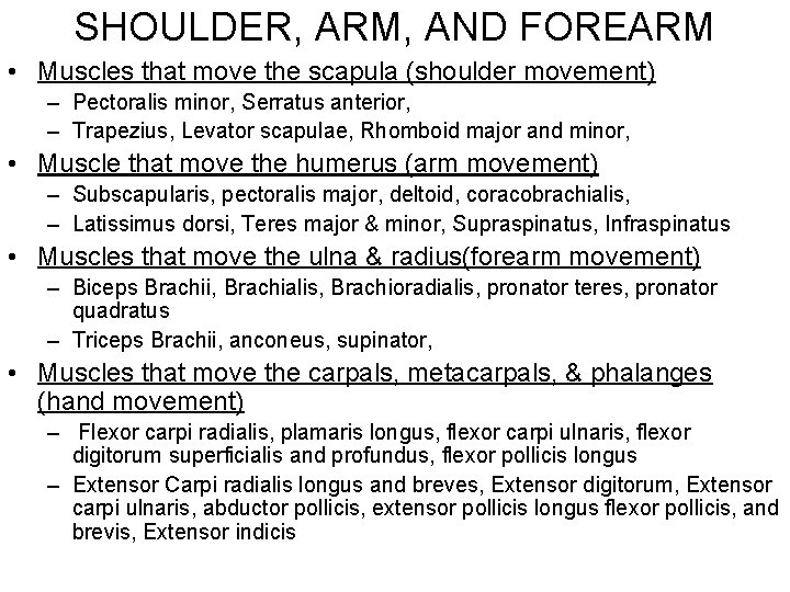 SHOULDER, ARM, AND FOREARM • Muscles that move the scapula (shoulder movement) – Pectoralis