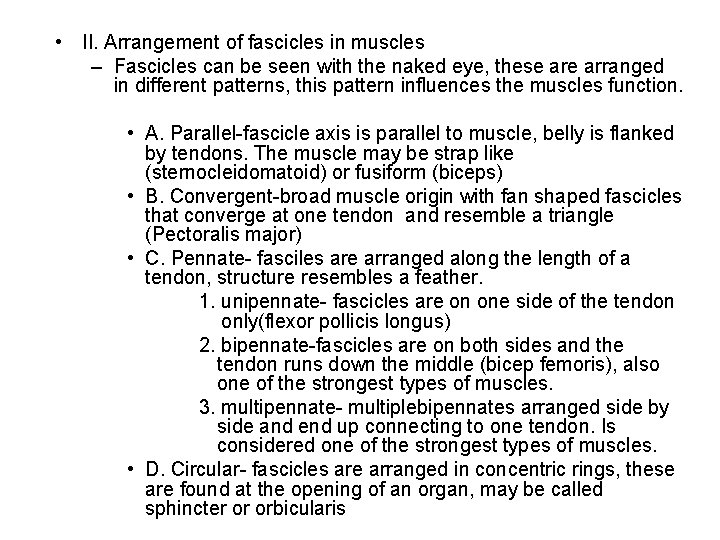  • II. Arrangement of fascicles in muscles – Fascicles can be seen with