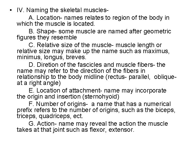  • IV. Naming the skeletal muscles. A. Location- names relates to region of