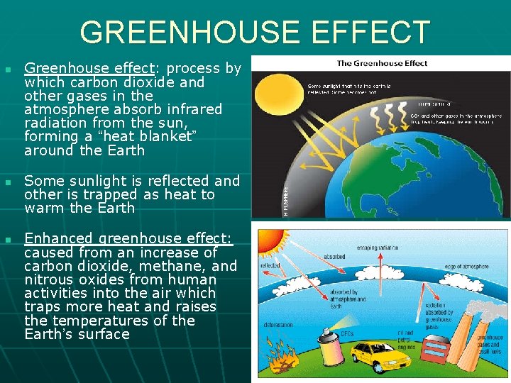 THE CARBON CYCLE AND THE HUMAN IMPACT 1