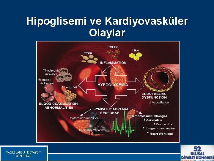 Hipoglisemi ve Kardiyovasküler Olaylar YAŞLILARDA DİYABET YÖNETİMİ Souza CV, Diabetes Care, 2010 