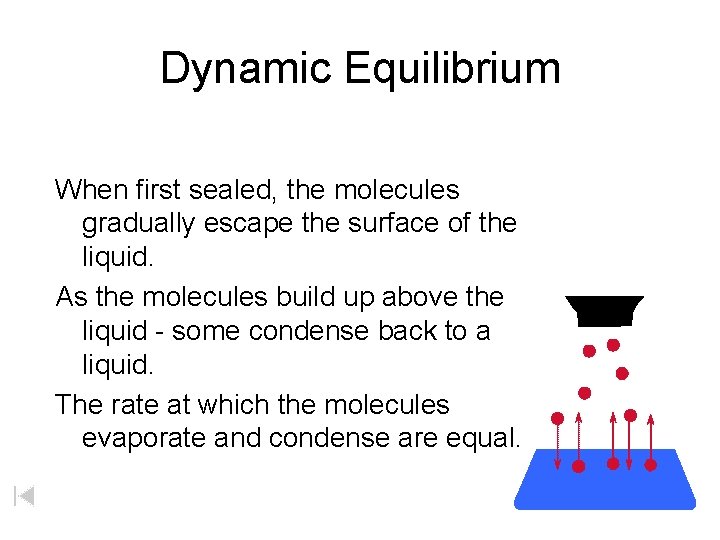 Dynamic Equilibrium When first sealed, the molecules gradually escape the surface of the liquid.
