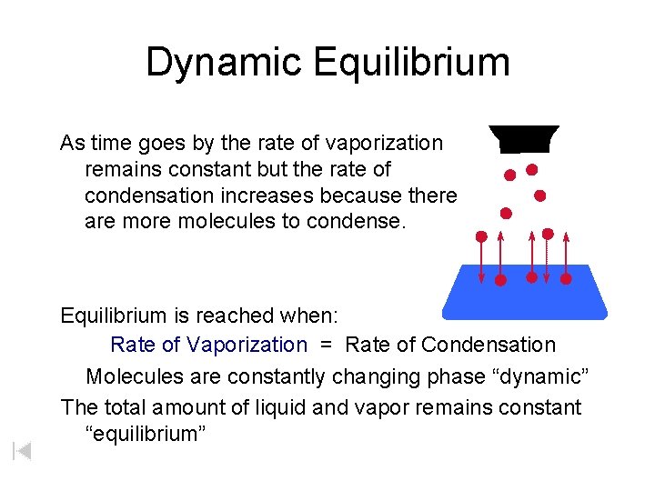 Dynamic Equilibrium As time goes by the rate of vaporization remains constant but the