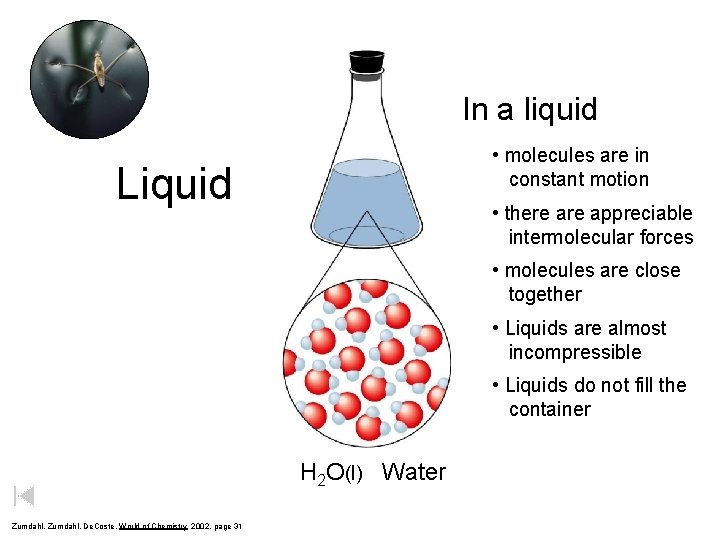 In a liquid • molecules are in constant motion Liquid • there appreciable intermolecular