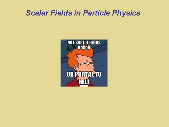 Scalar Fields in Particle Physics 