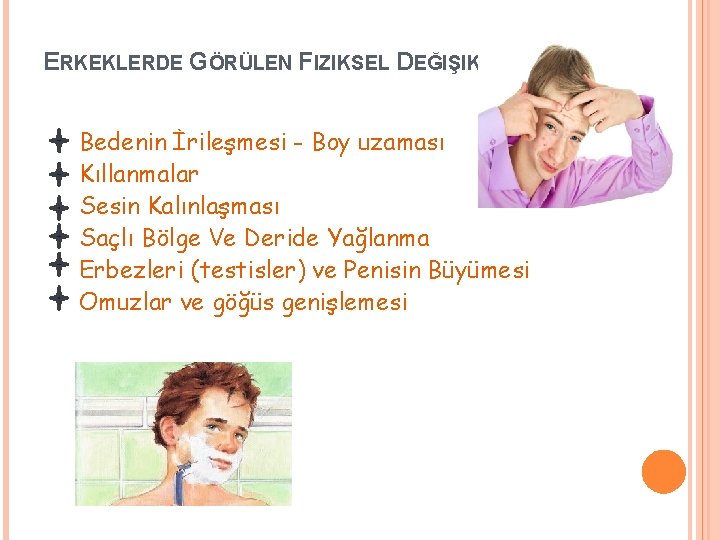 ERKEKLERDE GÖRÜLEN FIZIKSEL DEĞIŞIKLIKLER Bedenin İrileşmesi - Boy uzaması Kıllanmalar Sesin Kalınlaşması Saçlı Bölge