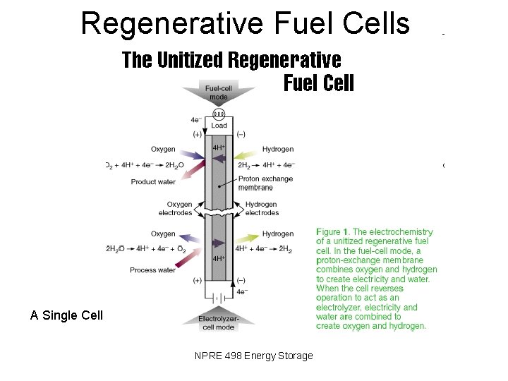 Regenerative Fuel Cells A Single Cell NPRE 498 Energy Storage 